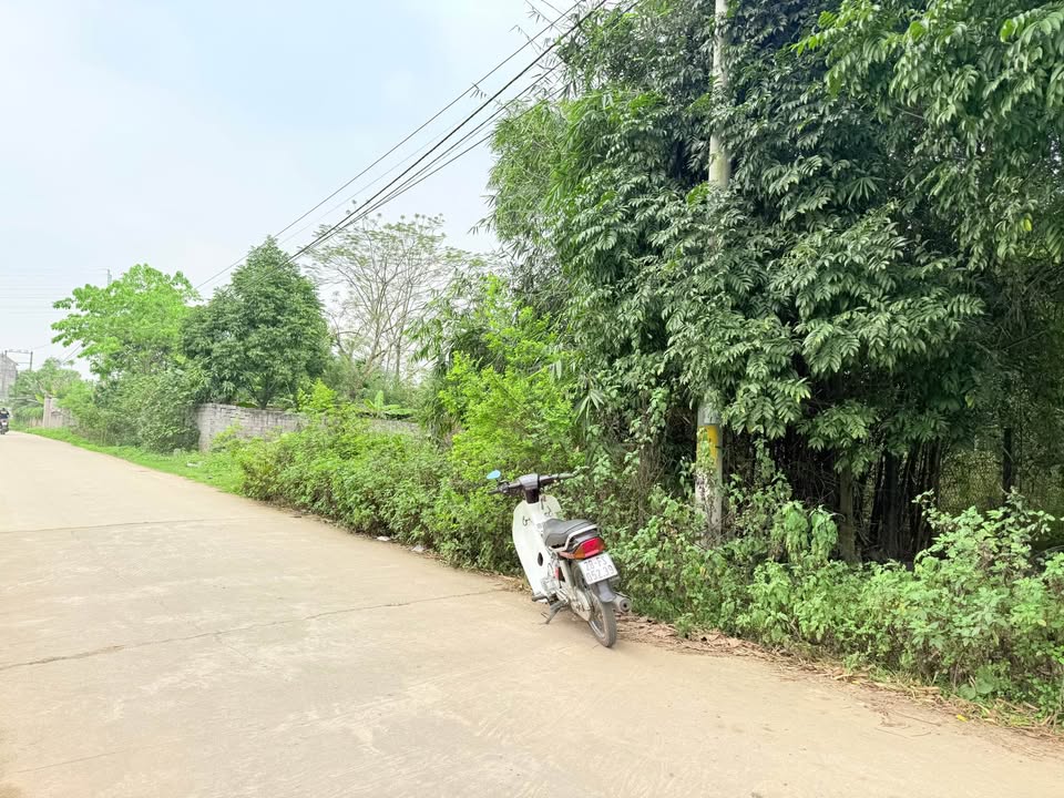 Bán đất 196m² Thôn Đông Phúc, Sơn Tây - Sổ hồng sẵn, tiềm năng tăng giá