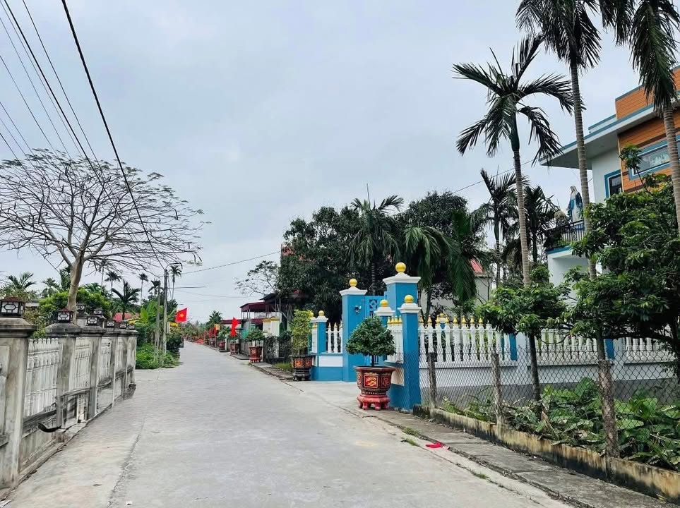 Bán Đất Thổ Cư 650m² Xã Cồn Thoi, Kim Sơn - Sổ Đỏ Rõ Ràng, Ô Tô Tránh Nhau