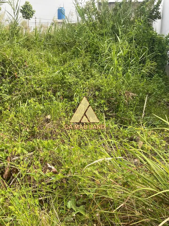 Đất Nền Sao Mai Nhựt Hồng - Cà Mau, 120m² - Vị Trí Vàng, Giá Tốt