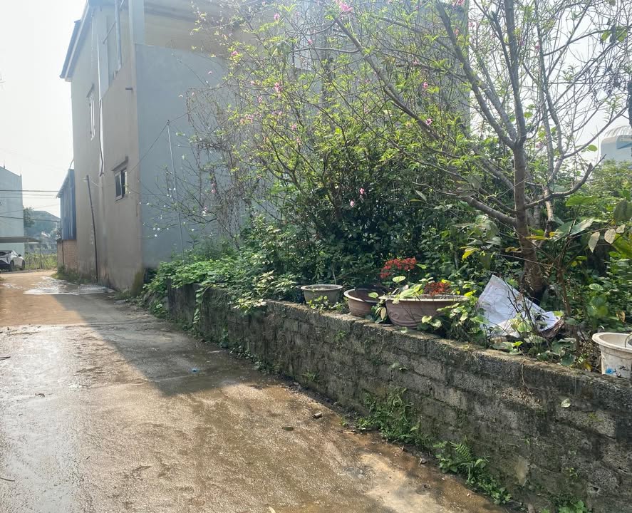 Đất Nền Sơn Cẩm, Thái Nguyên 100m² giá 1 tỷ - Sổ đỏ chính chủ!