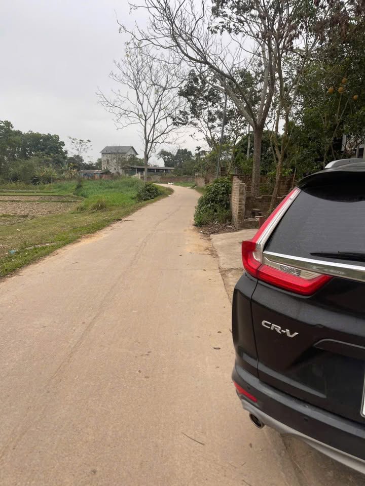 Đất nền Đông Kết, Phú Bình 201m² giá 1 tỷ - Tiềm năng tăng giá!