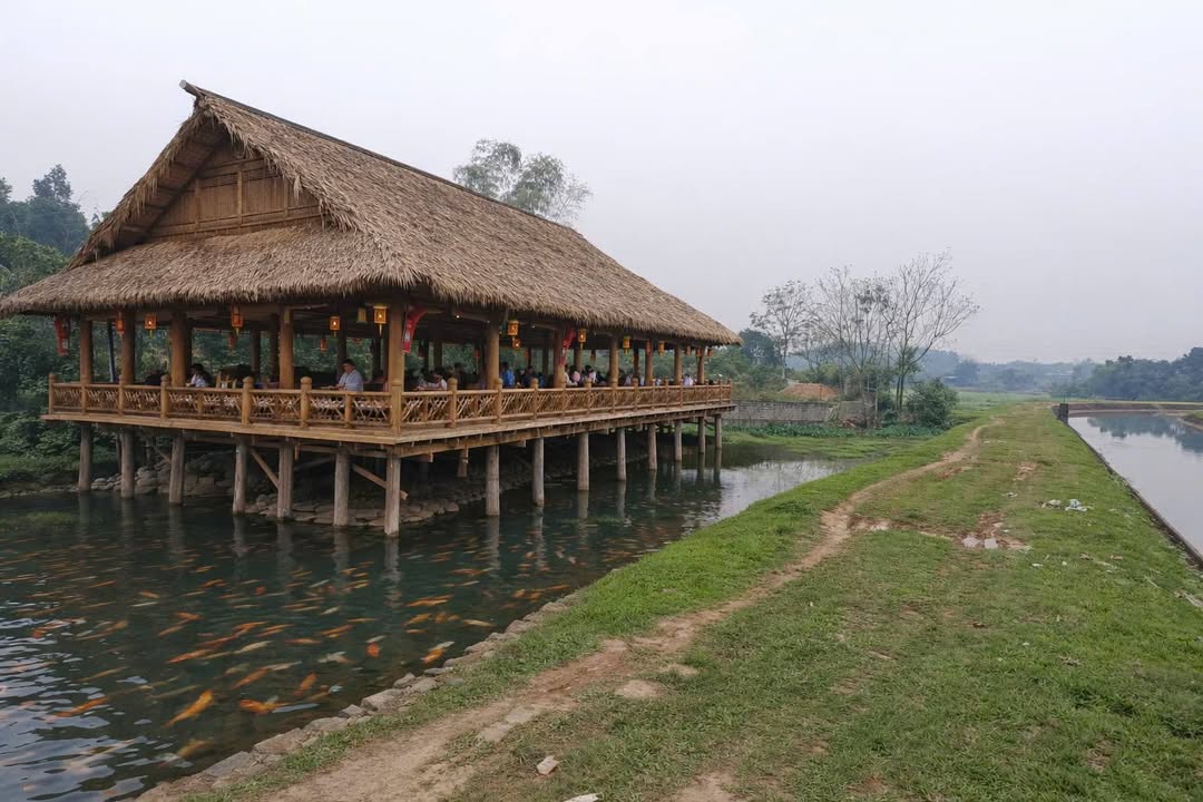 Đất nền Đồng Hỷ, Thái Nguyên 1200m² - Tiềm năng tăng giá vượt trội!