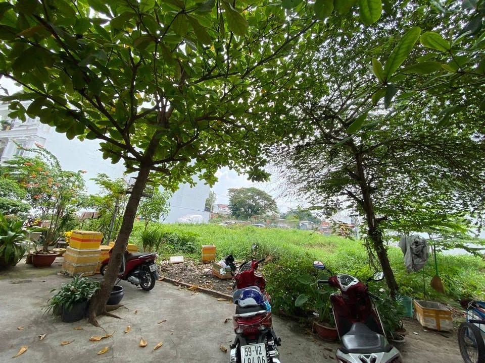 Nhà trọ Gò Vấp 87m² - Dòng tiền 15tr/tháng, MT hẻm 6m