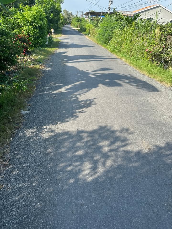 Bán đất vườn 800m² Chợ Gạo, Tiền Giang - Giá 949 triệu, sổ đỏ, view kênh mát