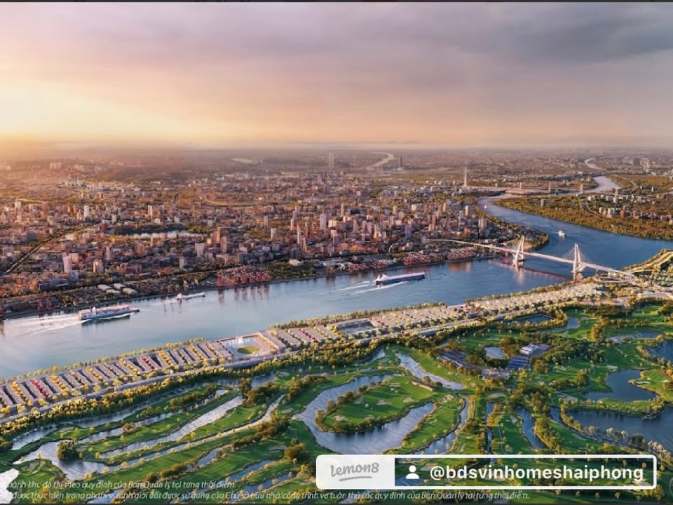 Nhà Phố 90m² Mặt Tiền 41m Đảo Tỷ Phú - Hải Phòng, Sẵn SÀNG KINH DOANH