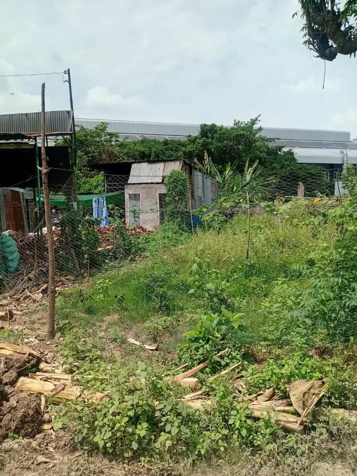 Đất nền 800m² Thị trấn Phú Hòa, An Giang - Sổ hồng thổ cư, kinh doanh tốt