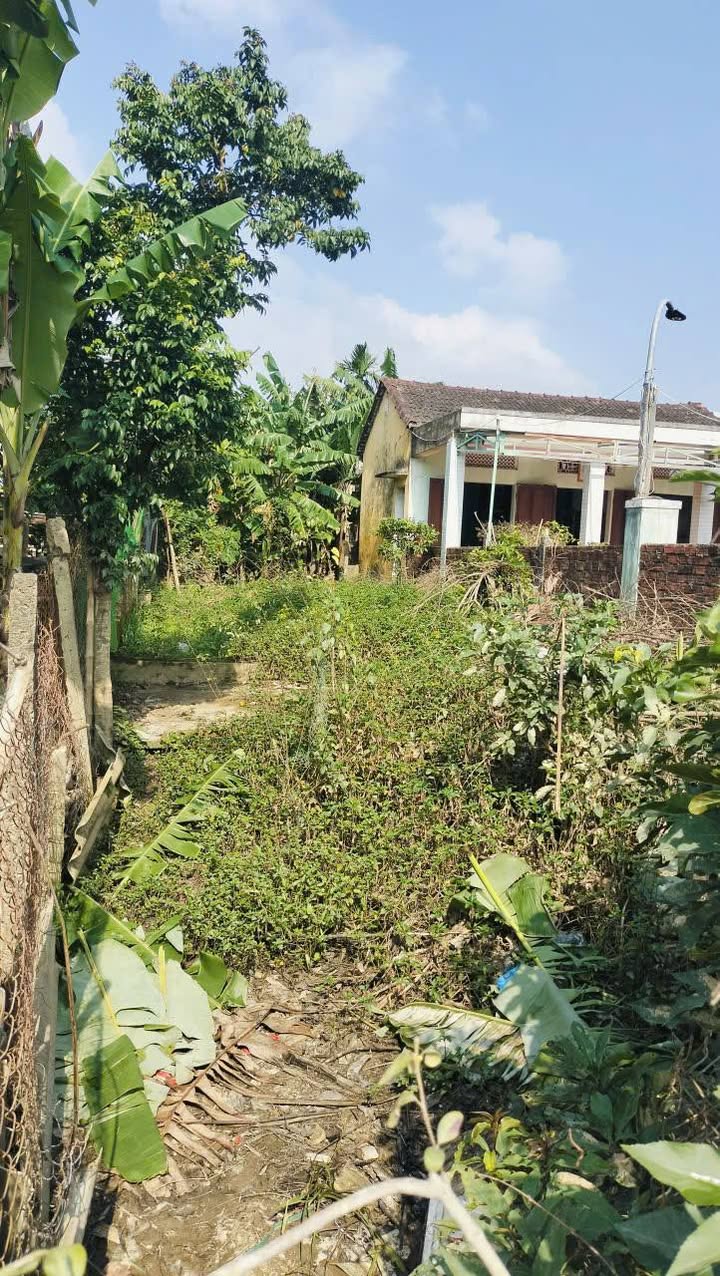 Bán Gấp Đất 210m² Kiệt Ô Tô Phong Nam, Đà Nẵng - Giá 2.6 Tỷ