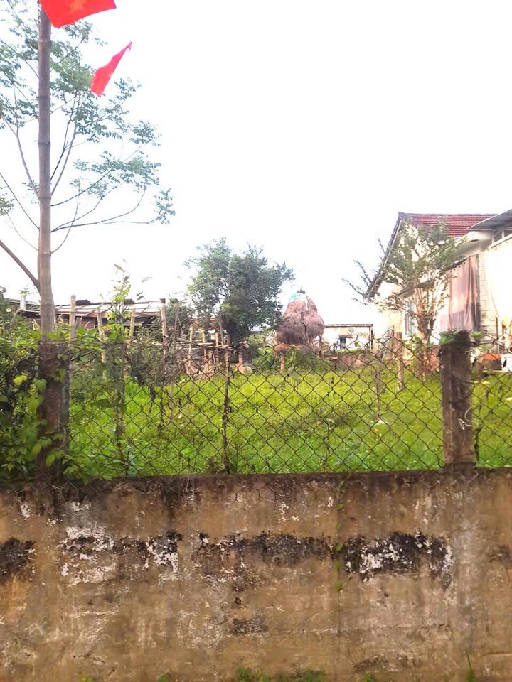 Đất nền Thi Phương Điện Bàn 170m² - Pháp lý rõ ràng