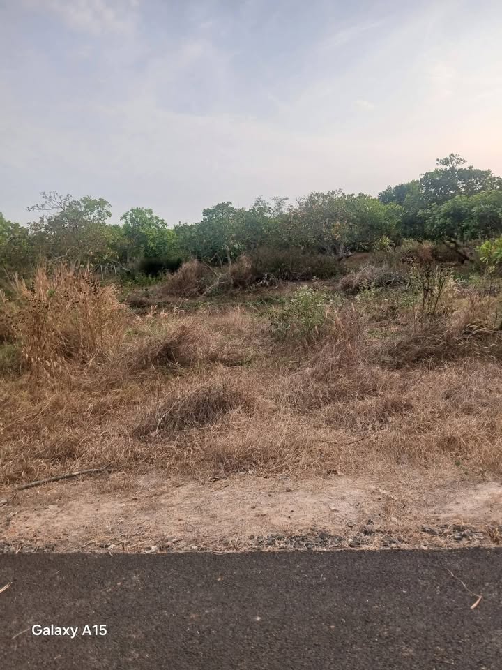 Đất Xuyên Mộc 2800m² Sổ Hồng 100% Thổ Cư - Giá Đầu Tư 1.6 Tỷ