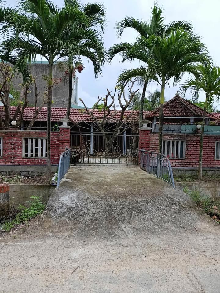 Cho thuê mặt bằng kinh doanh mặt tiền QL1A, Phù Cát - Giá cực tốt