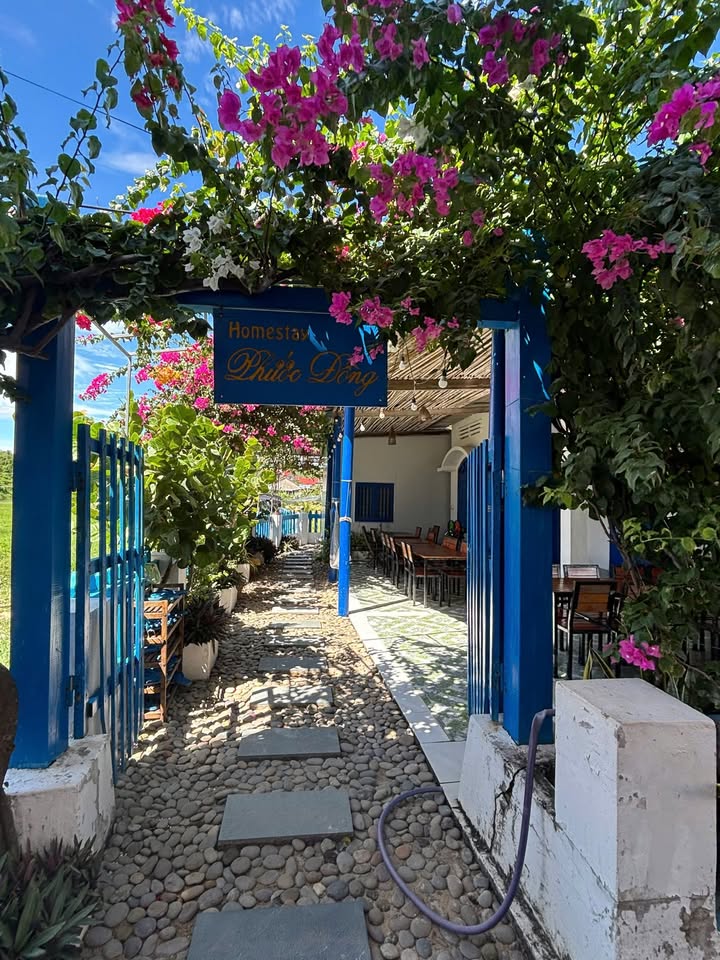 Homestay Cù Lao Mái Nhà Tuy An 210m² - Đầu tư sinh lời ngay!