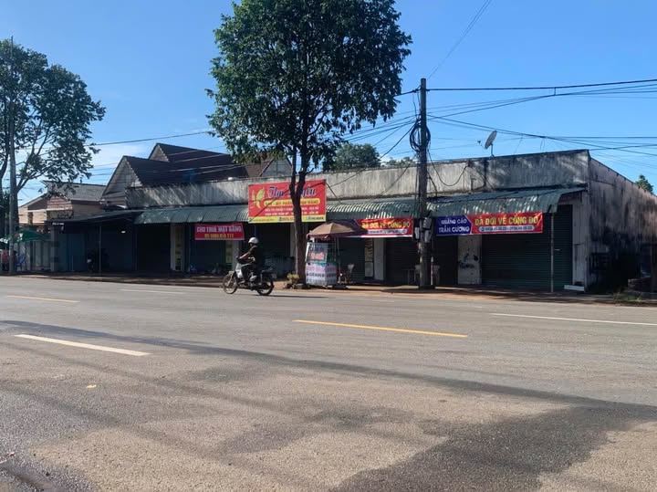 Đất nền MT QL55 Xuyên Mộc 1031m² Tiềm năng tăng giá