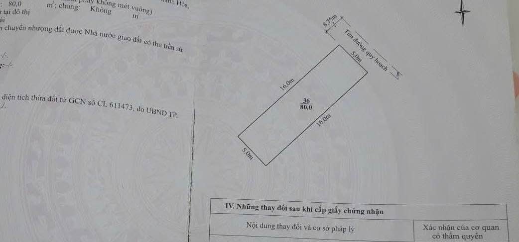 Đất nền 80m² Đông Vệ, Thanh Hóa - Sổ hồng sẵn, xây nhà tự do