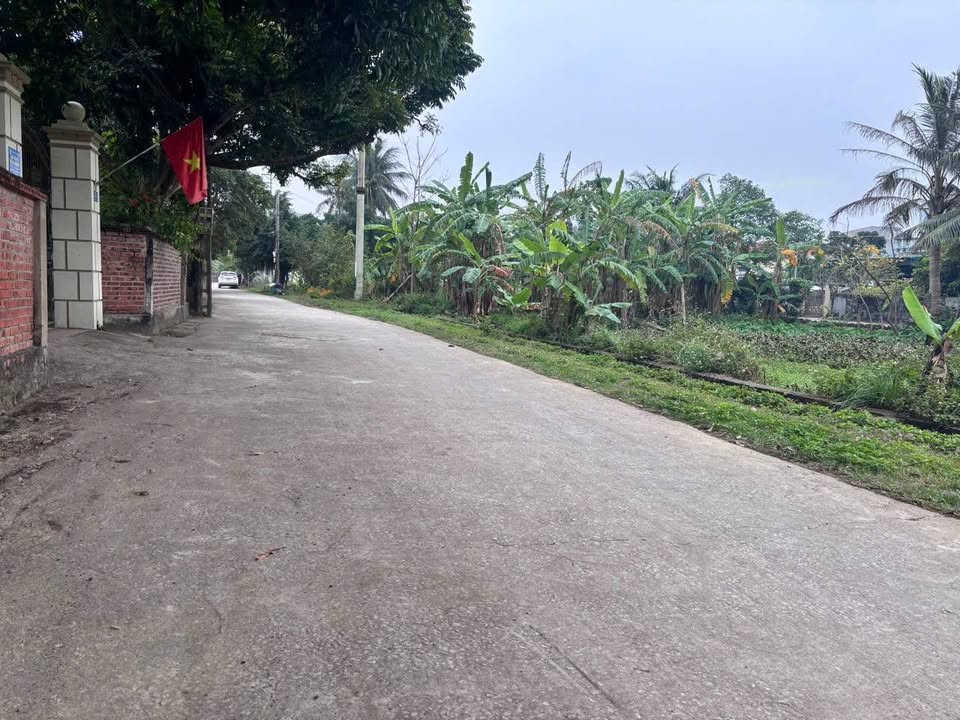 Đất nền Thị trấn Hậu Lộc 152m² - Tiềm năng tăng giá vượt trội!