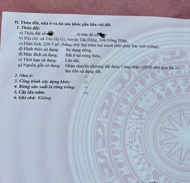 Đất nền Tân Hộ Cơ, Tân Hồng 215m² - Pháp lý rõ ràng