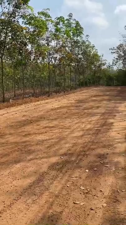 Đất thổ cư 540m² Đường 26, Củ Chi - Sổ hồng sẵn, giá tốt đầu tư