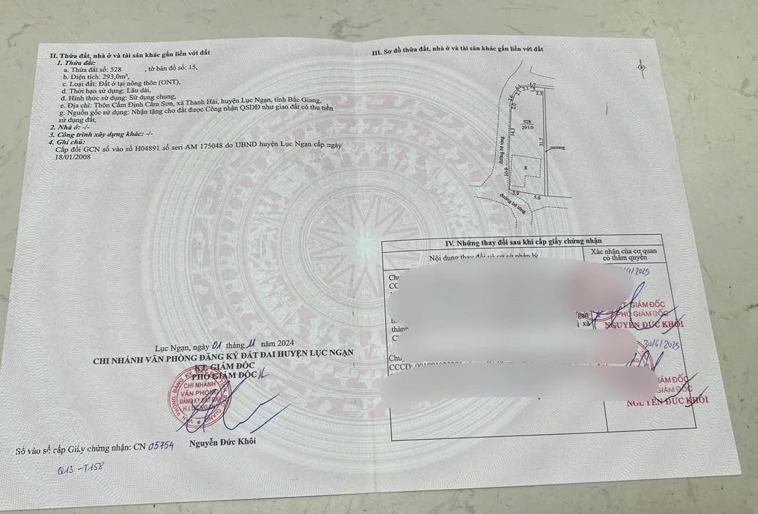 Đất nền 293m² TDP Cẩm Định, Lục Ngạn - Đất thổ cư 100%!