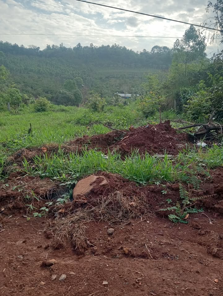 Đất nền Gia Nghĩa 400m² - Sổ đỏ chính chủ, tiềm năng sinh lời!