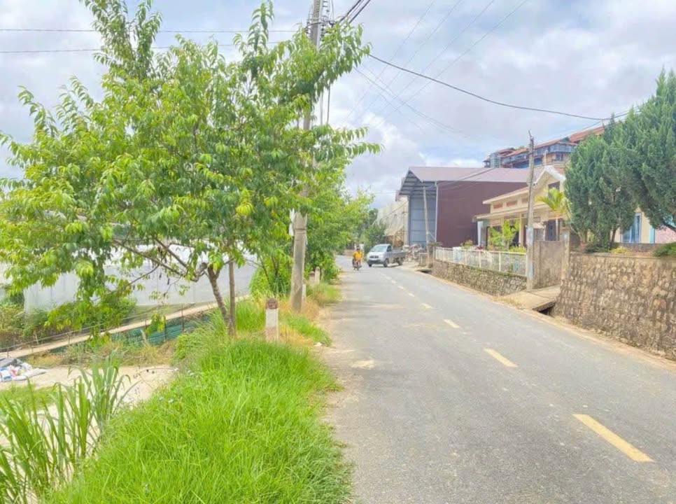Đất Mặt Tiền Đa Phú Đà Lạt 313m² - Giá Đầu Tư 7.5 Tỷ