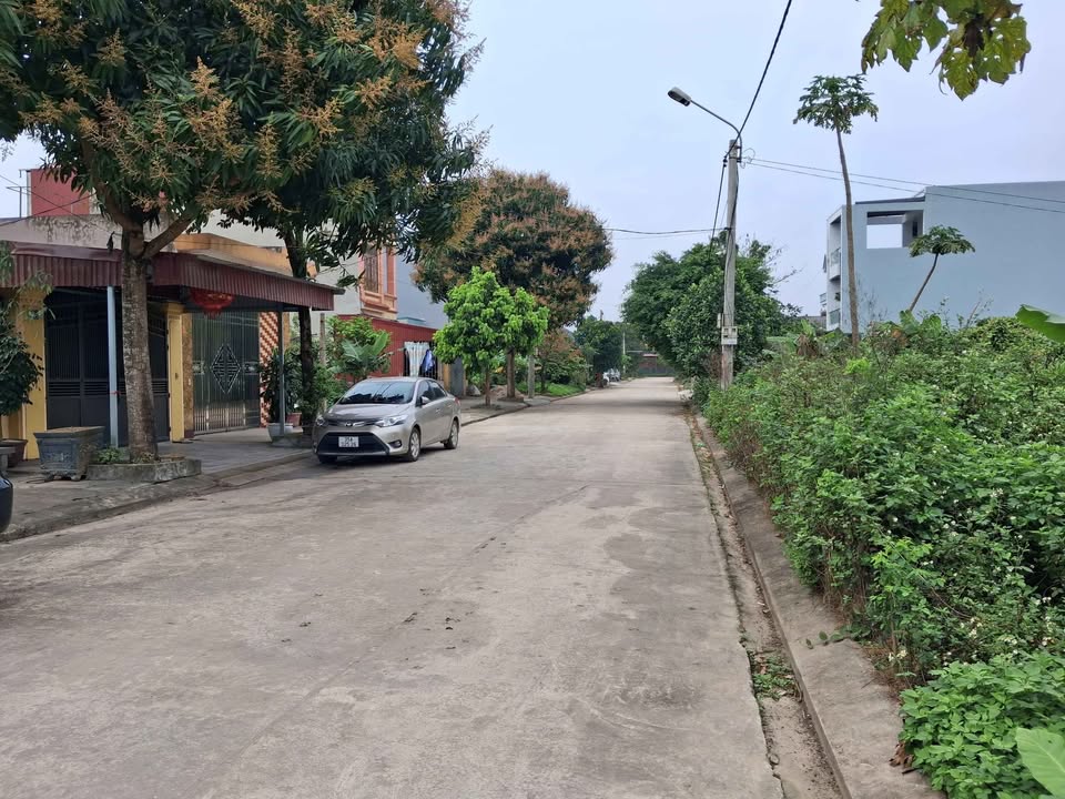 Đất nền Nam Đại học Hoa Lư 100m² - Tiềm năng tăng giá vượt trội!