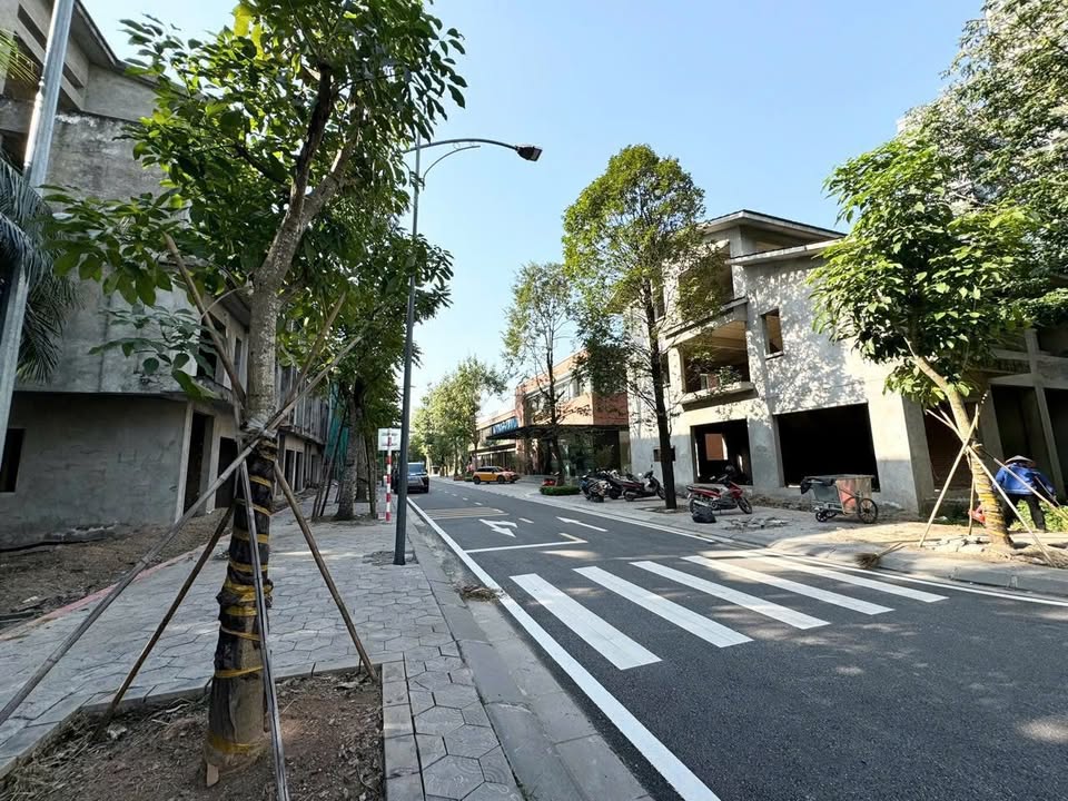 Nhà Phố Vạn Tuế, Cầu Giấy 80m² - Sổ Đỏ Sẵn Sàng, Giá Tốt