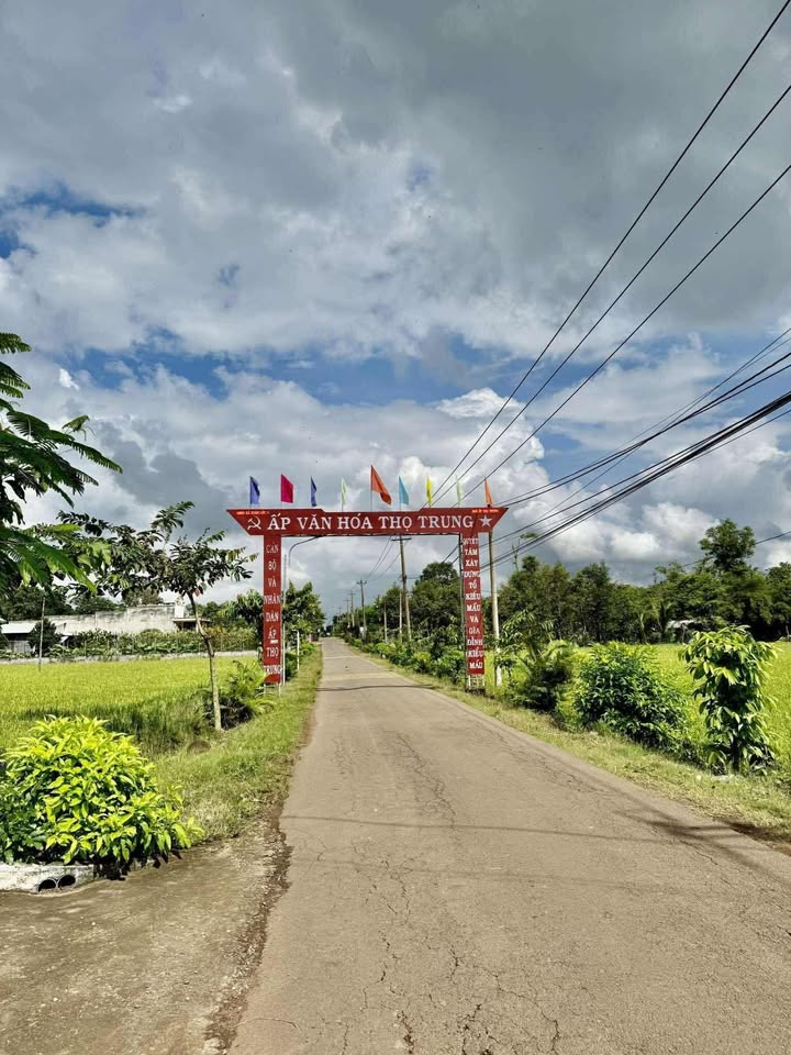 Bán Đất Phường 15 Quận 11 130m² Sổ Riêng Giá 650 Triệu