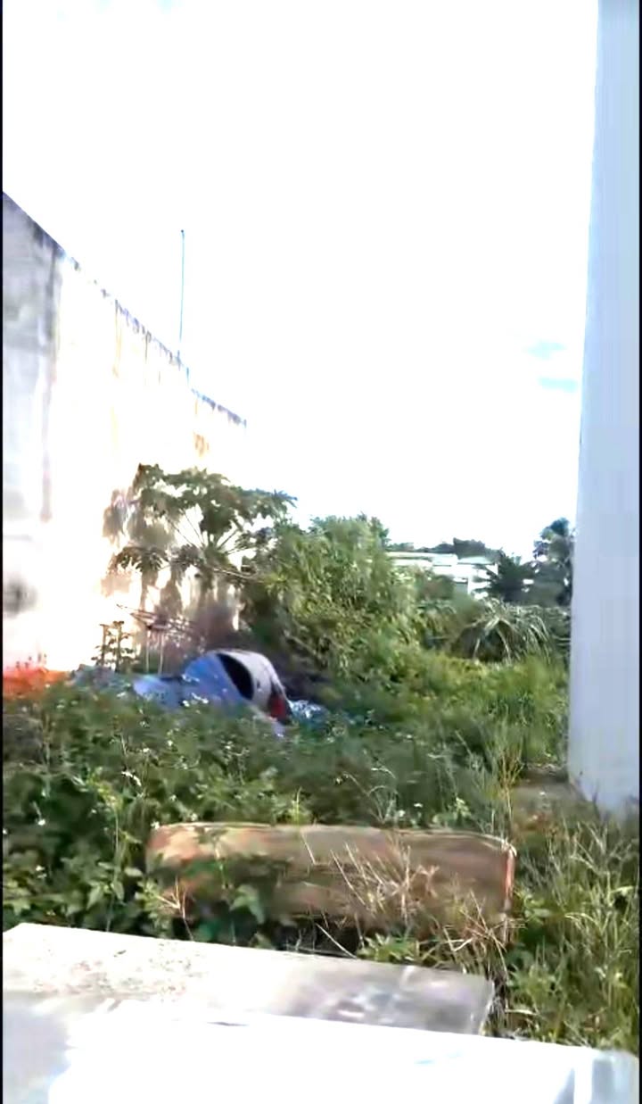 Bán Đất Thổ Cư 61m² - Sổ Đỏ Sẵn Sàng - Gần Vòng Xoay Suối Cát