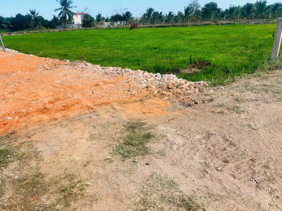 Đất nền Bình An, Bắc Bình 970m² - Đường to ô tô, giá 550 triệu