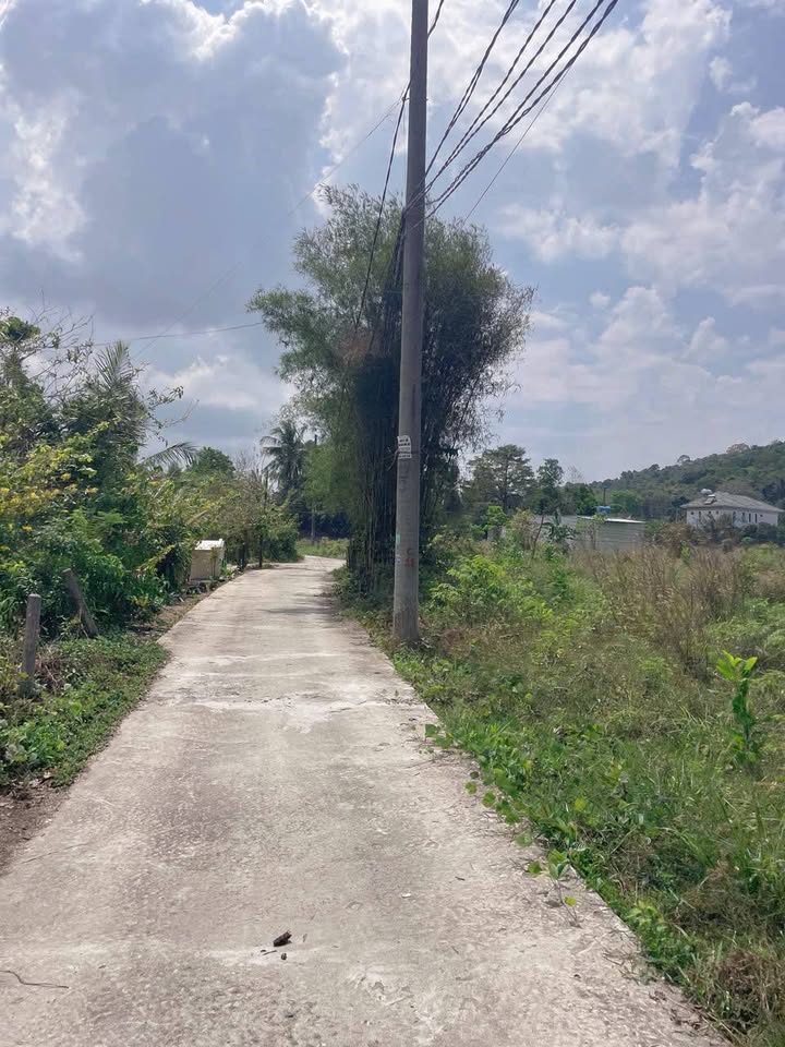 Bán Nền 131m² Kèm Nhà Cây Thông Ngoài, Dương Đông - Giá 720 Triệu