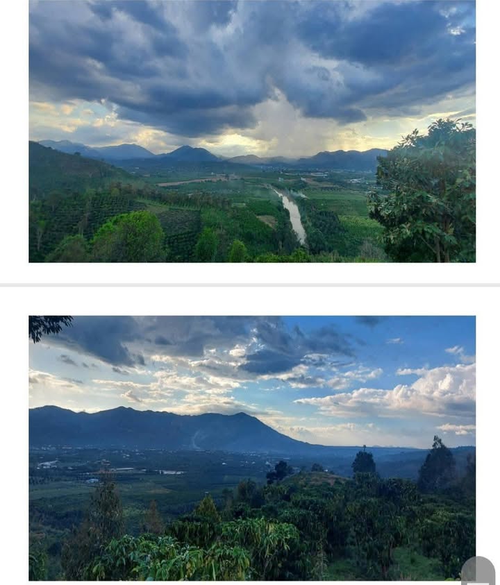 Đất Farm Tân Lạc, Bảo Lâm 3.2ha - Sổ đỏ chính chủ, tiềm năng tăng giá!