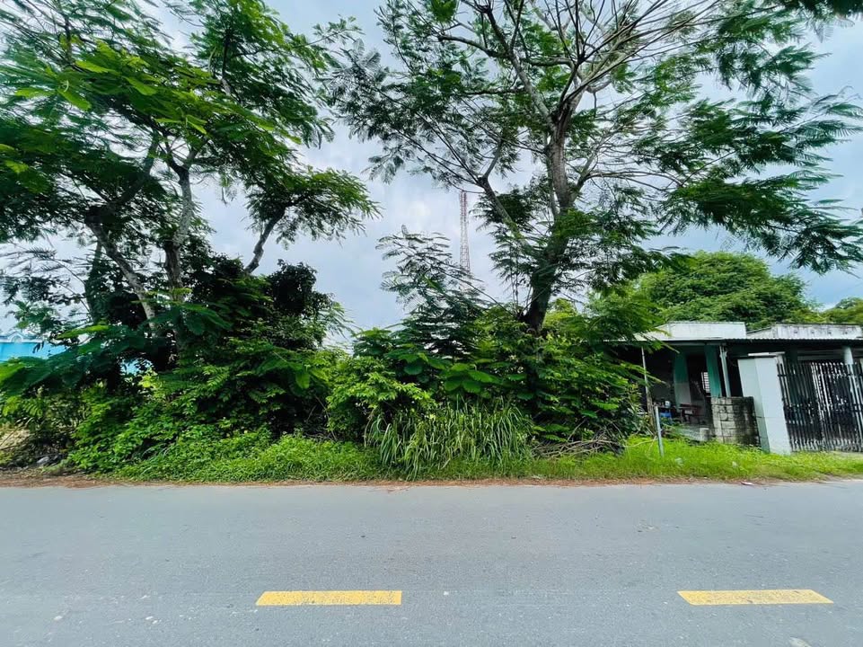 Đất Củ Chi Đường Bà Thiên Lớn 1182m² - Đường to ô tô, kinh doanh đỉnh!