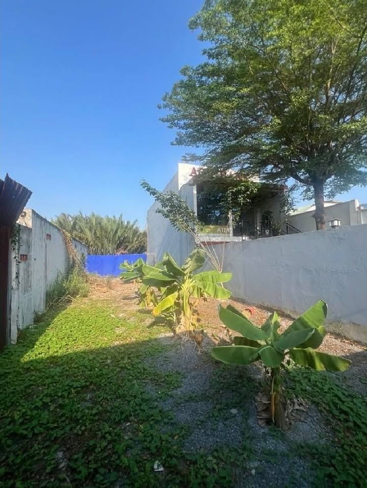 Đất nền Nguyễn Văn Tạo Nhà Bè 299m² - Đầu tư sinh lời ngay!