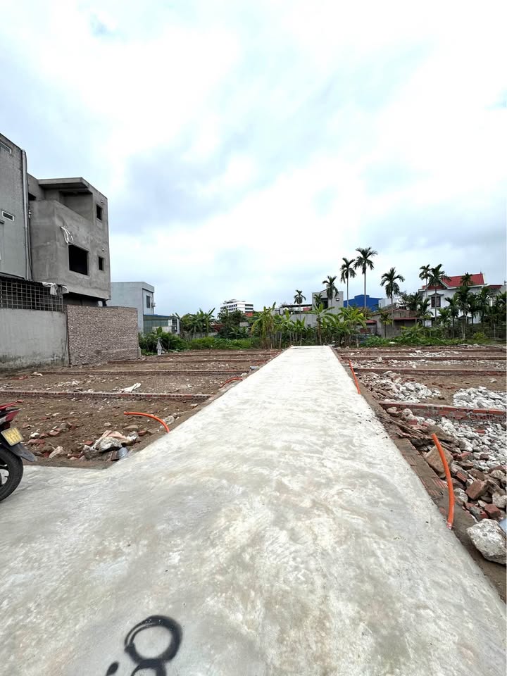 Bán đất An Dương, Hải Phòng - 50m² - Sổ đỏ chính chủ, gần chợ Lương Quán