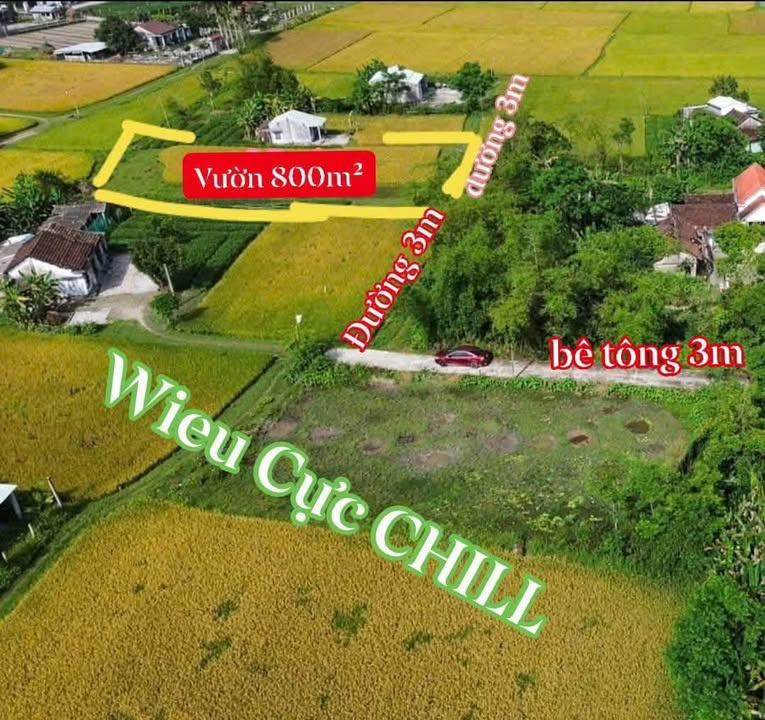 Đất Vườn Nghỉ Dưỡng 800m² Thăng Bình, Quảng Nam - Sẵn Sàng Sử Dụng