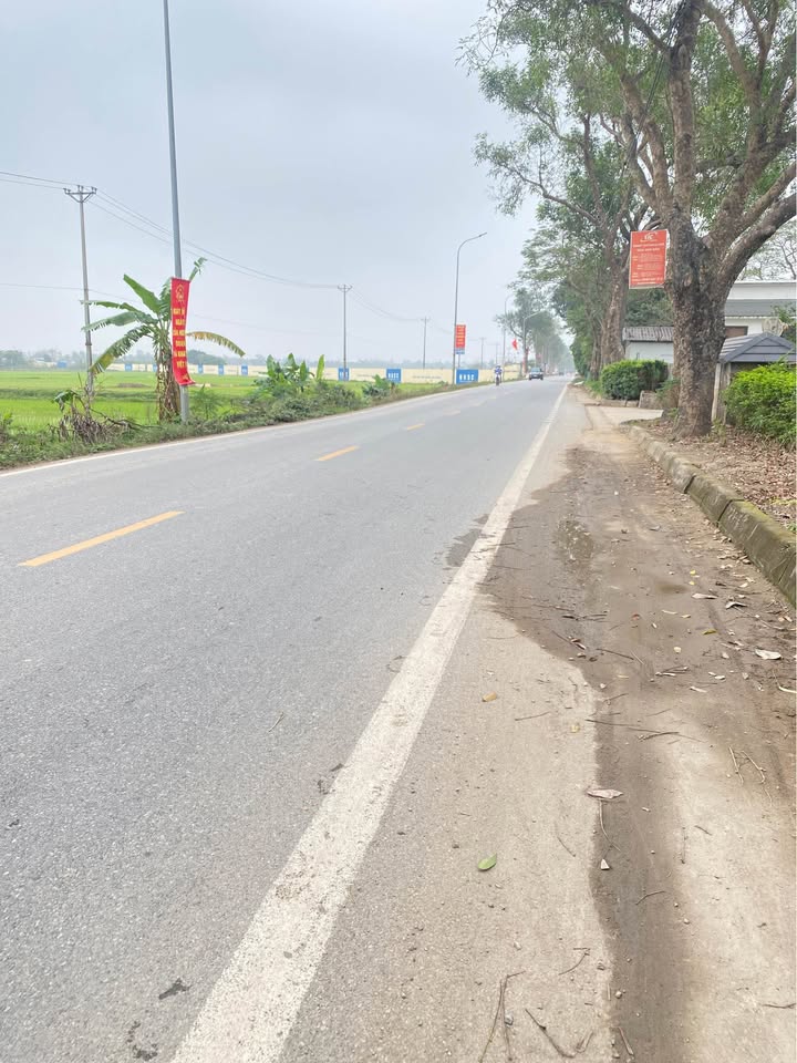 Bán Đất Đông Anh 55m² Nở Hậu - Sổ Đỏ Vuông Vắn - Giá Đầu Tư