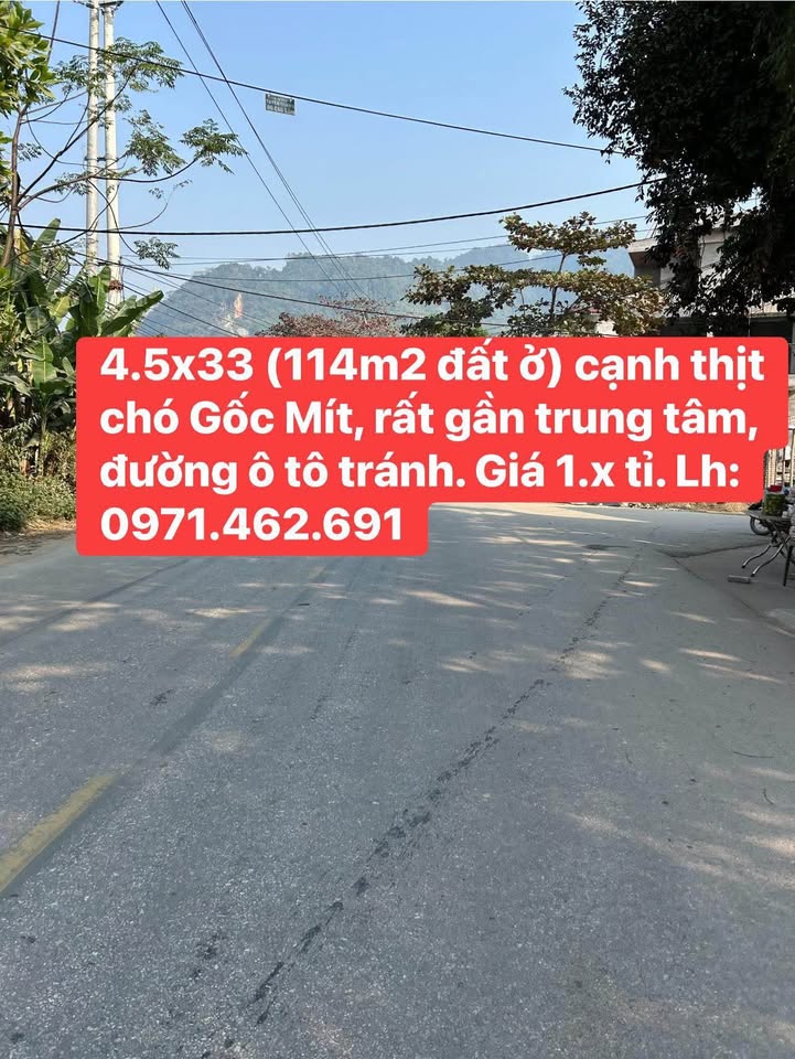 Bán Đất Thổ Cư Phường Nông Tiến 114m² - Gần Đại Lộ Tân Trào, Kinh Doanh Thuận Lợi