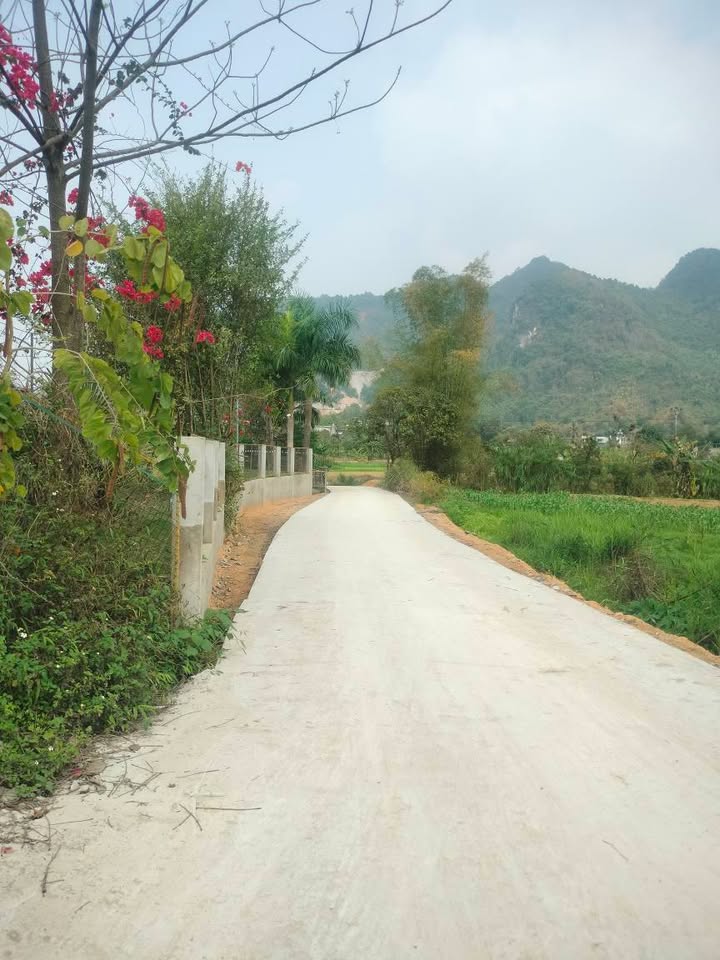 Bán đất Tuyên Quang 280m² sổ đỏ, gần trung tâm - Tận hưởng không gian sống xanh