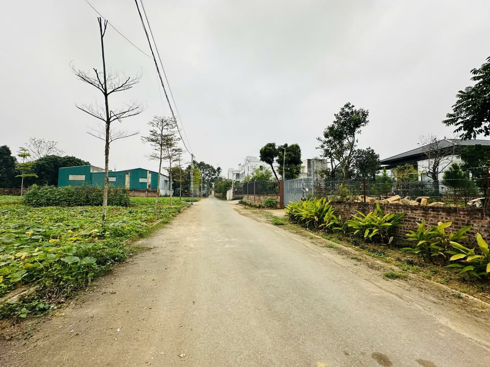 Đất nền Quốc Oai 100m² - Sổ đỏ chính chủ, pháp lý sạch!