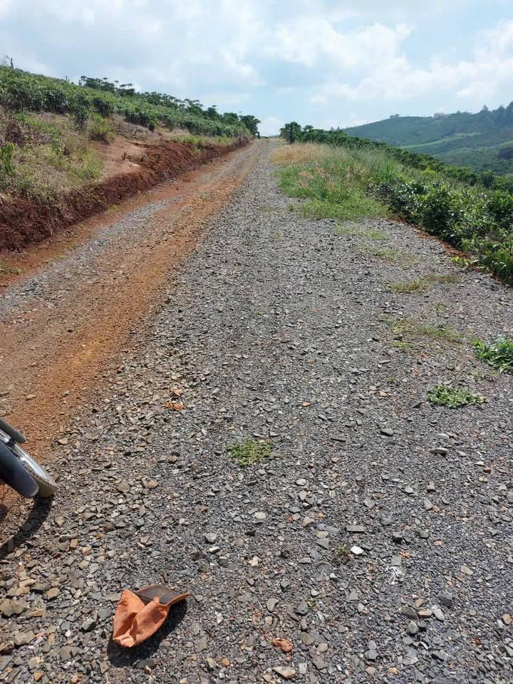 Đất Nền Lộc Tân, Bảo Lâm - 720m² Thế Đất Vượng Phong Thủy, View Đẹp