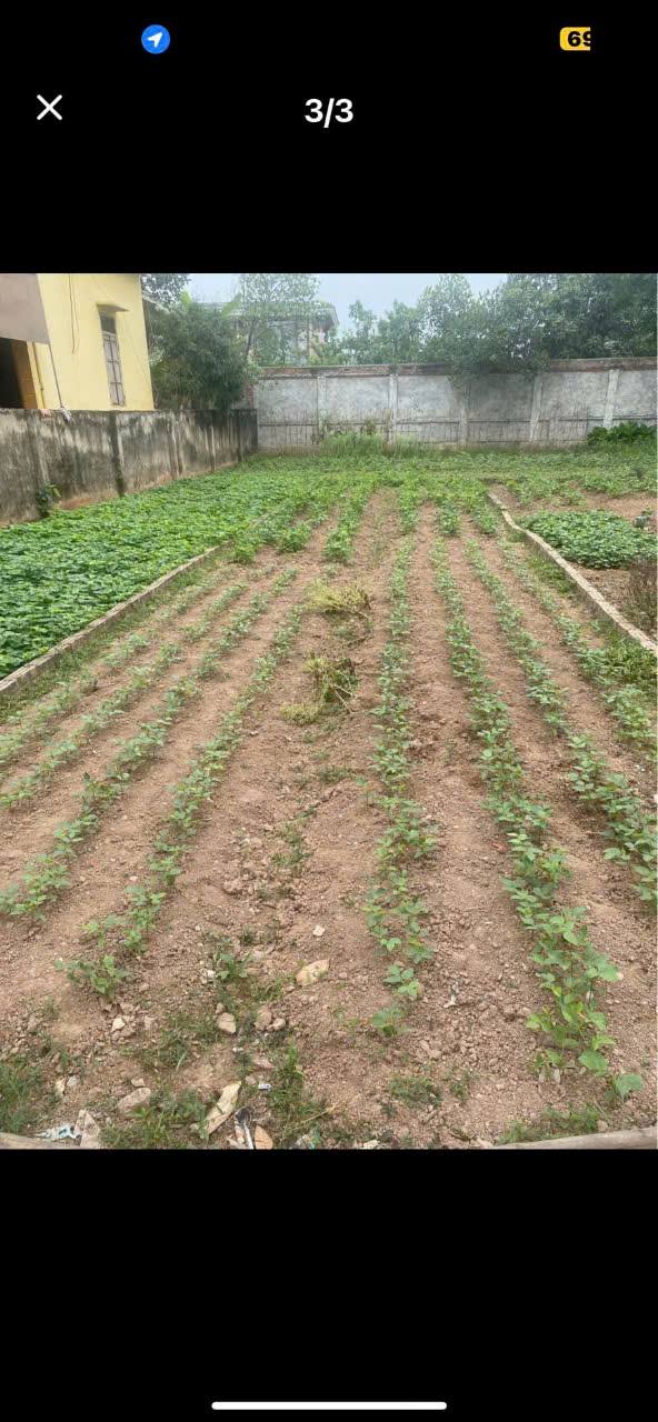 Đất nền Đan Phượng 67.2m² - Đường to ô tô, sổ đỏ sẵn!