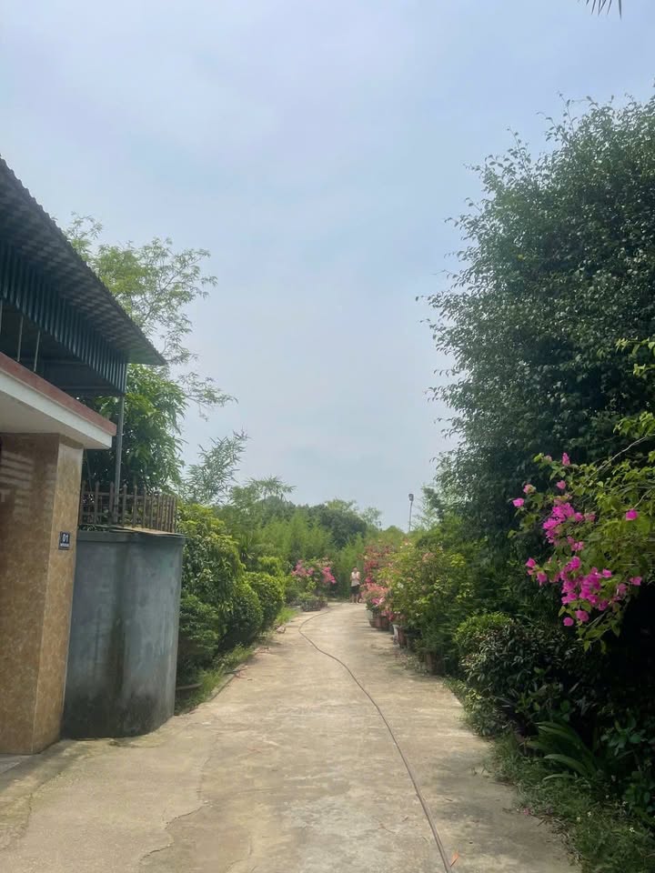 Đất Nền Nghi Ân 192m² - Lối 2 Nguyễn Văn Ngợi, Gần Quốc Lộ 46