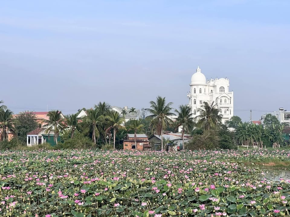 Bán gấp 4000m² đất vườn Ninh Thượng, Khánh Hòa - Sổ đỏ chính chủ