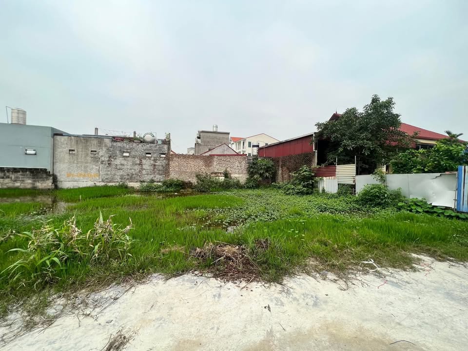 Đất nền An Dương 60m² chỉ từ 600 triệu - Tiềm năng tăng giá!