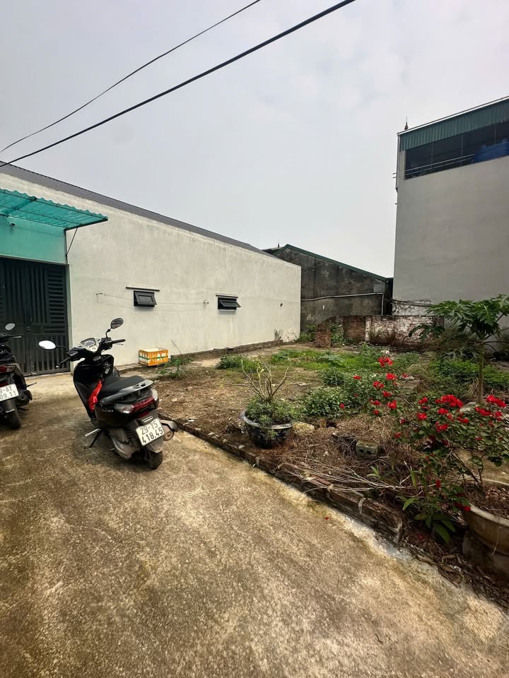 Đất nền Phú Xuyên 63.6m² - Mặt tiền rộng 5.86m - Giá 2 tỷ