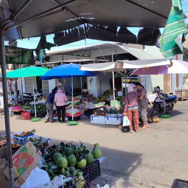 Nhà nguyên căn Pleiku 1.9 triệu/tháng - Vị trí đẹp!