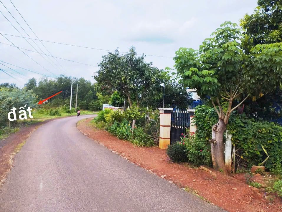 Đất Vĩnh Cửu, Đồng Nai 420m² Thổ Cư - Sổ Sẵn, Sát Chợ Thạch Màng