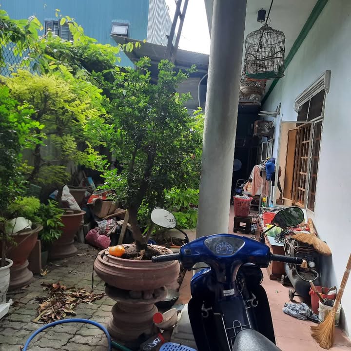 Đất nền Sơn Trà 221m² - Tiềm năng tăng giá, sát Cầu Sông Hàn!