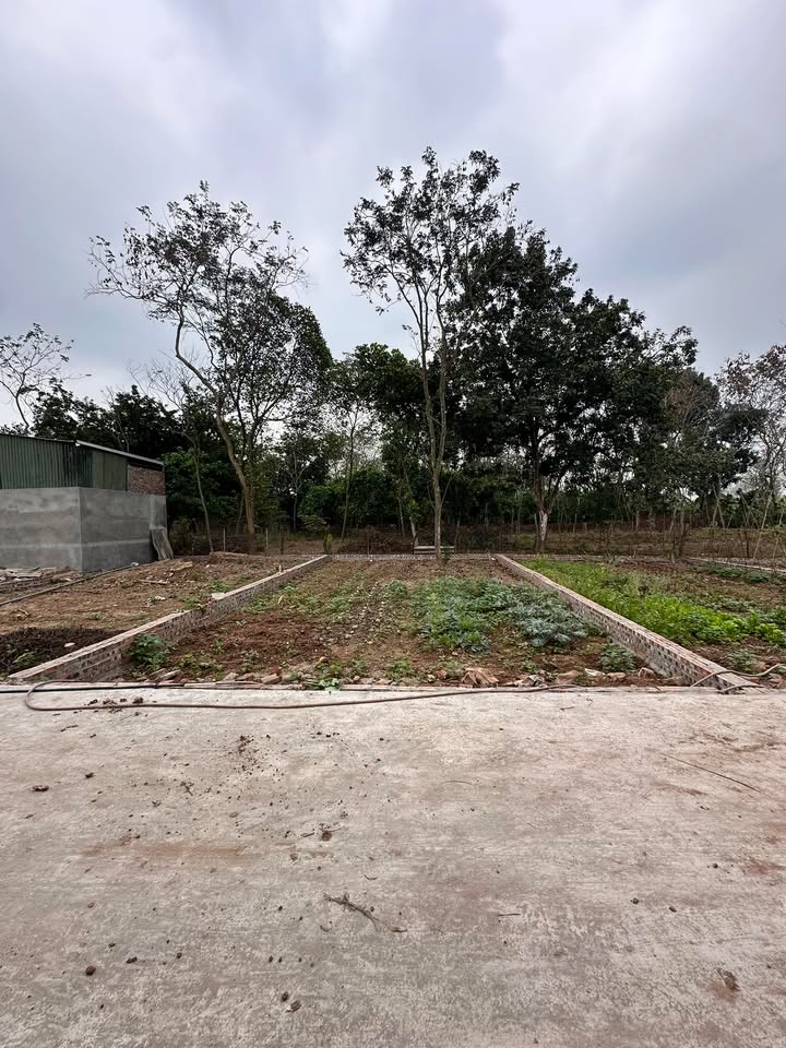 Đất nền Đại Tự Yên Lạc 80m² - Sổ đỏ chính chủ, đường thông thoáng