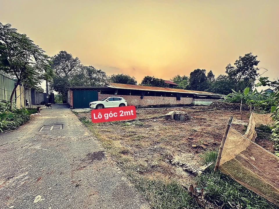 Đất Lô Góc Đạo Đức, Bình Xuyên 90m² - Sổ Đỏ, Giá 1 Tỷ - Cơ Hội Đầu Tư Vàng