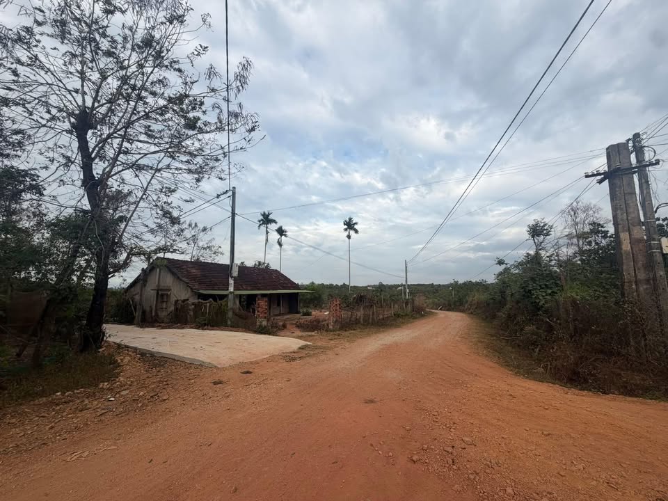 Đất Lô Góc Ngã Tư Ea Wer, Buôn Đôn - Giá 290 Triệu, Sổ Đỏ Sẵn Sàng